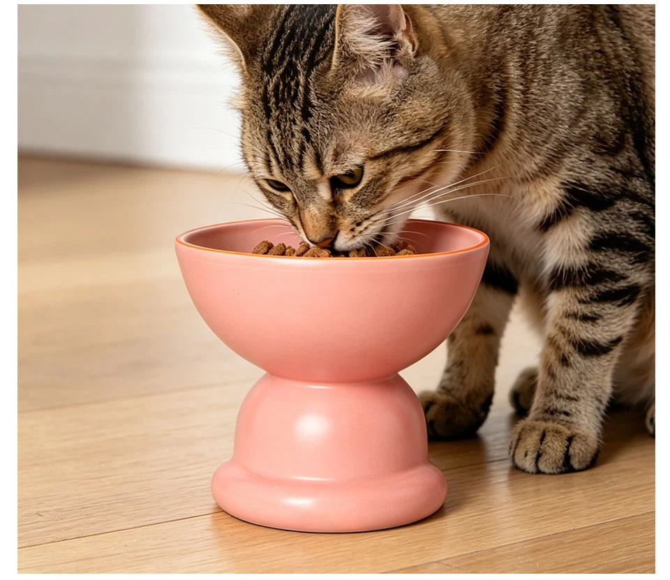 pet bowl 07 pet bowl 07